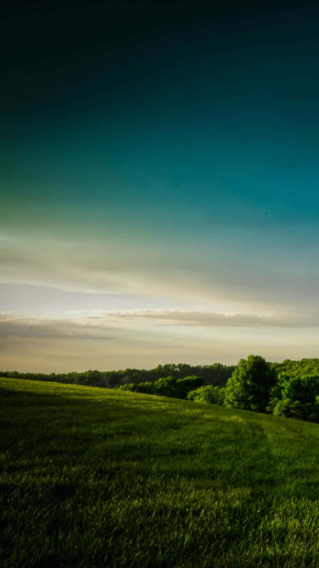 Galaxy S5 Calm Grass Landscape Background