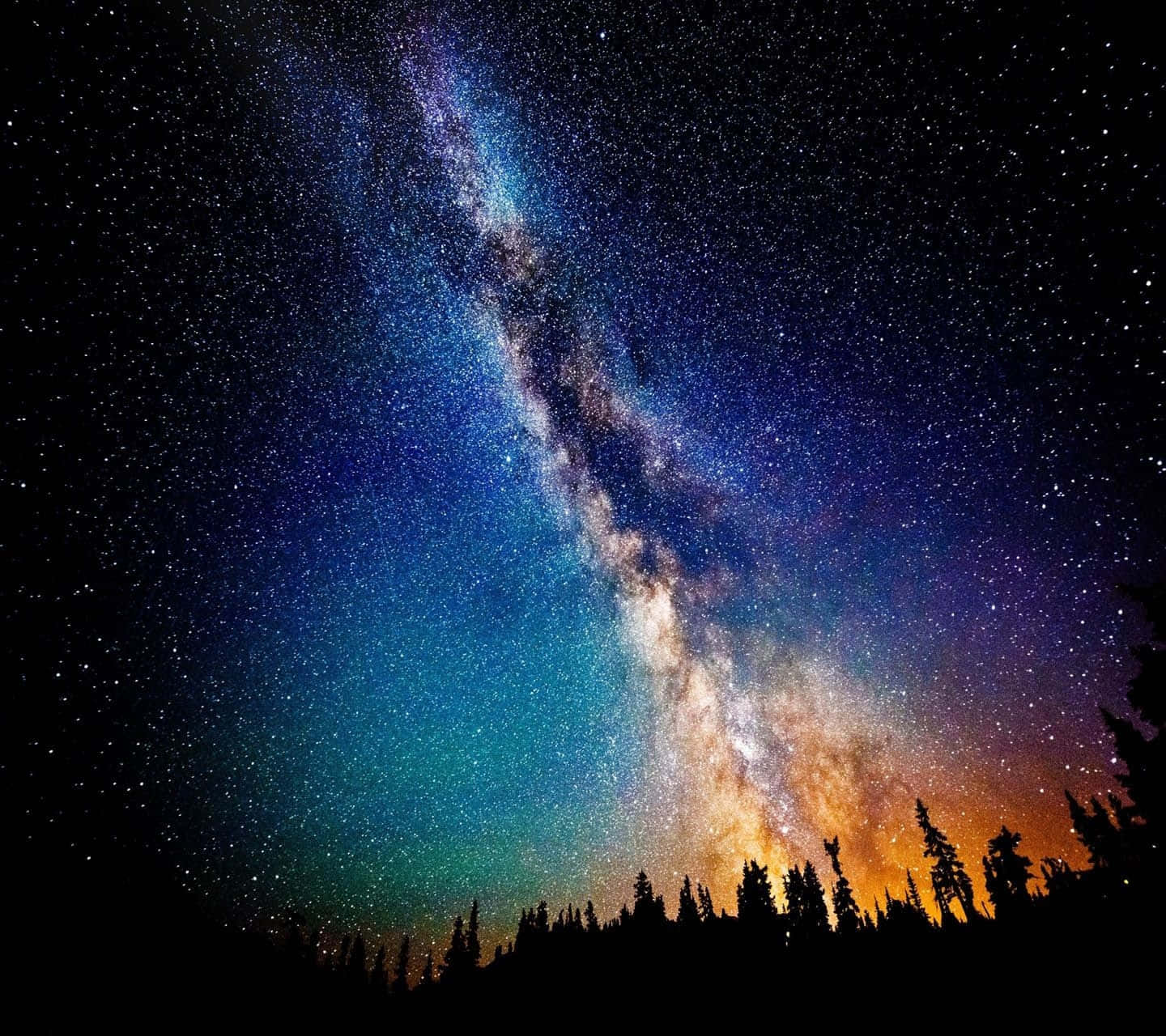 Galaxy Sky Pine Trees Background