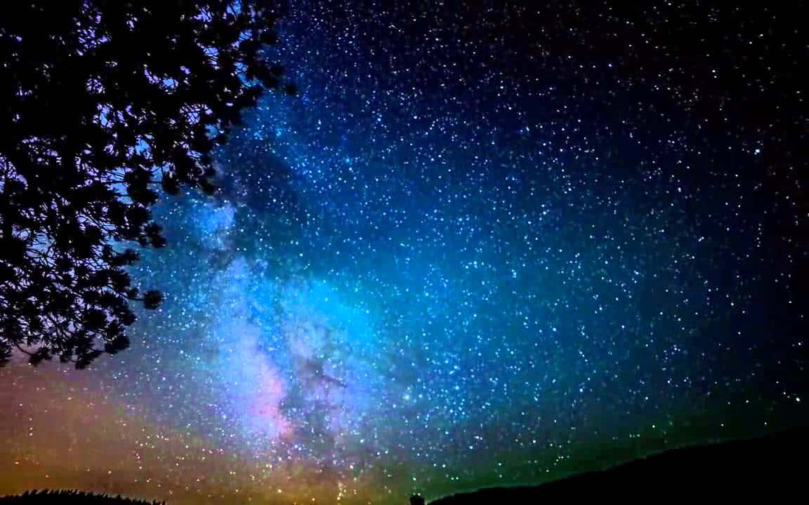 Galaxy Sky Tree Leaves Background