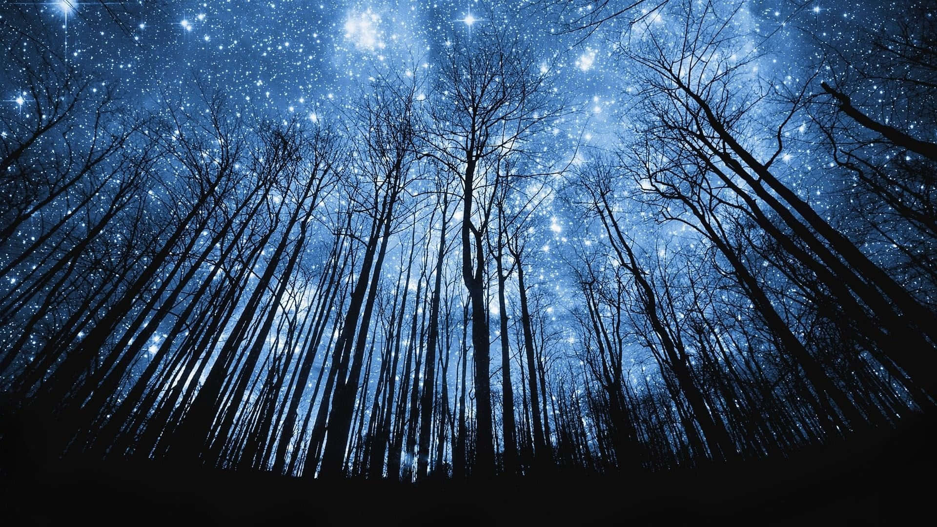 Galaxy Sky Trees Silhouettes Background