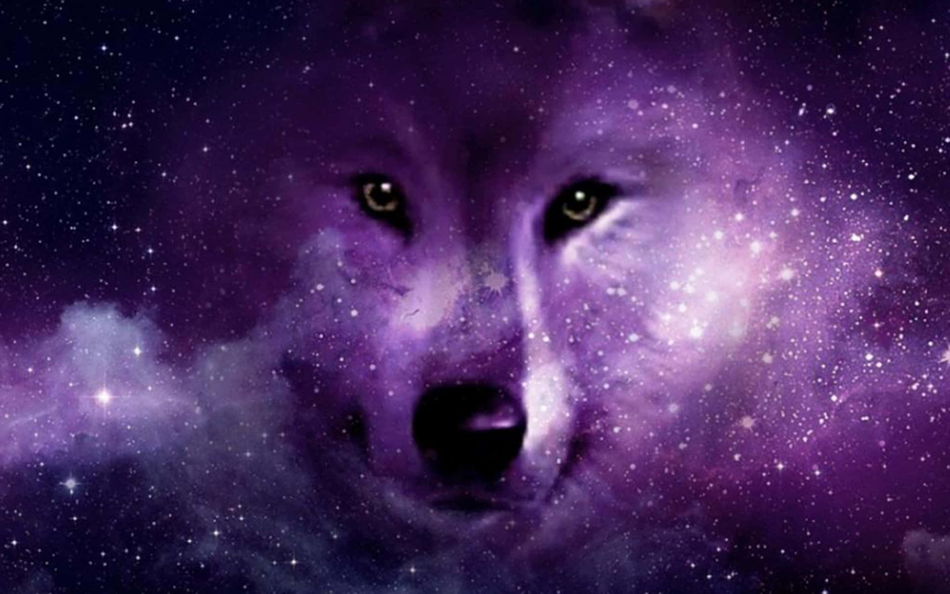 Galaxy Wolfin Stars