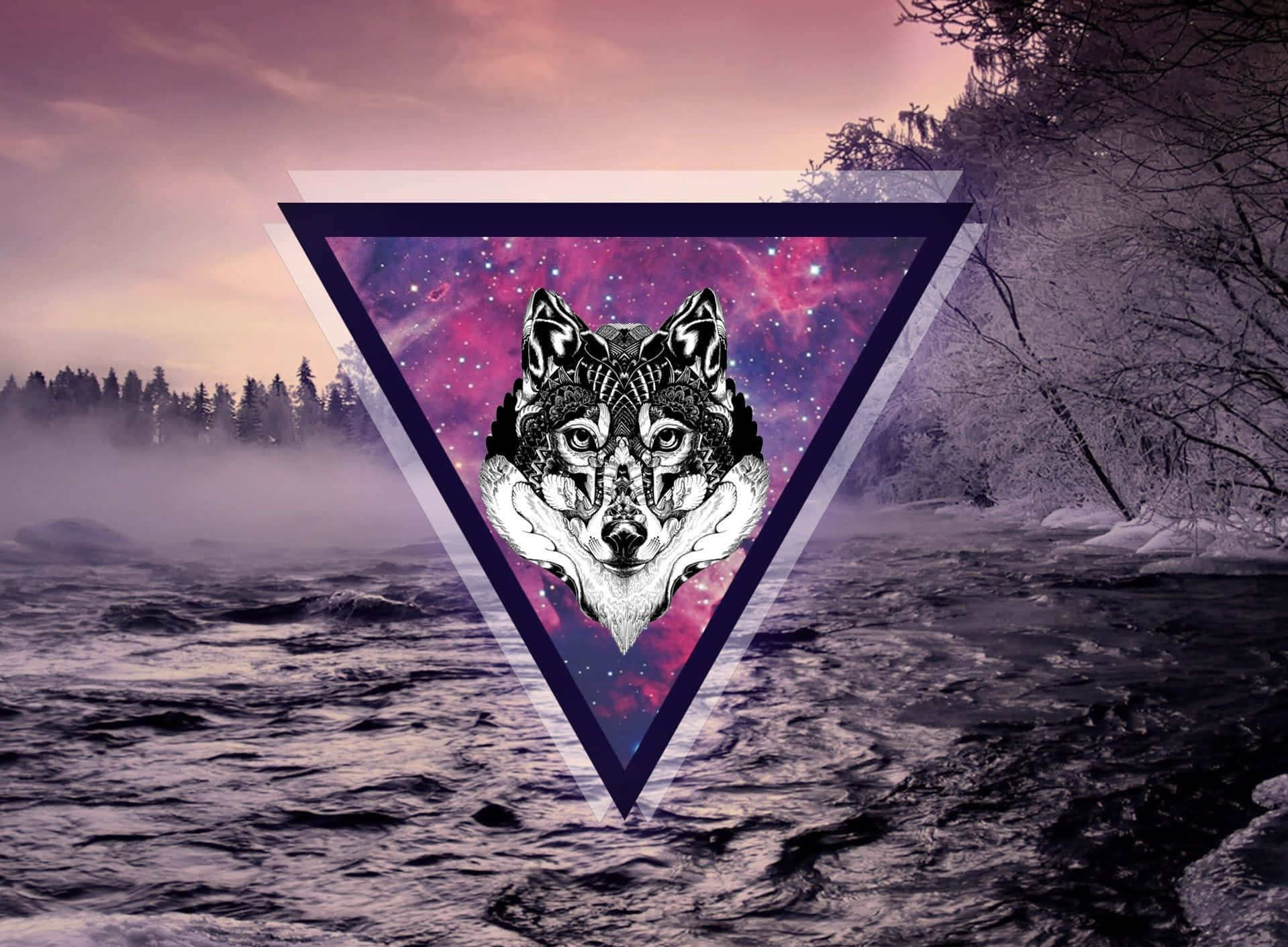 Galaxy Wolves Iphone Screen Theme Background