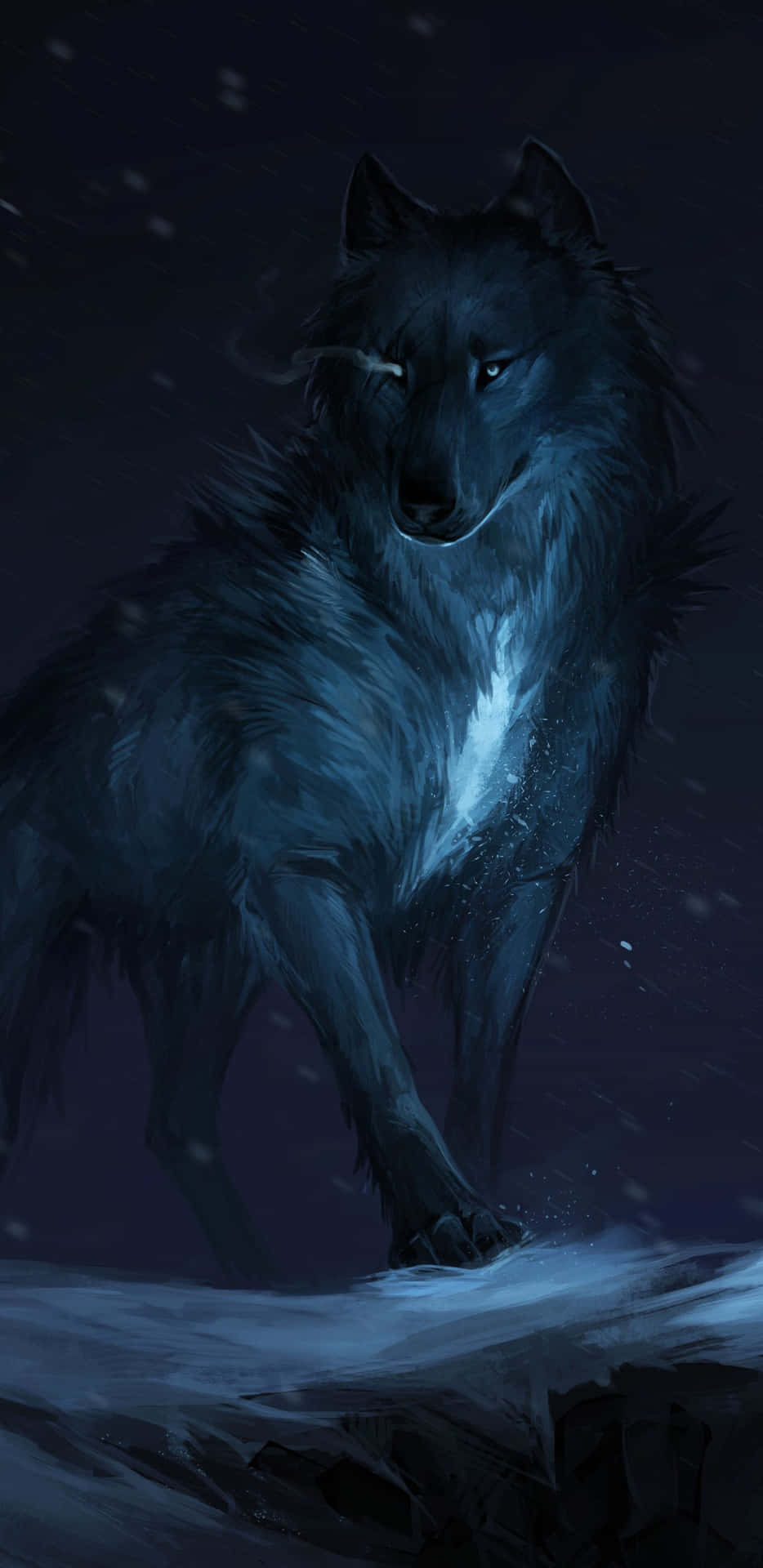 Galaxy Wolves Phone Theme Display Background