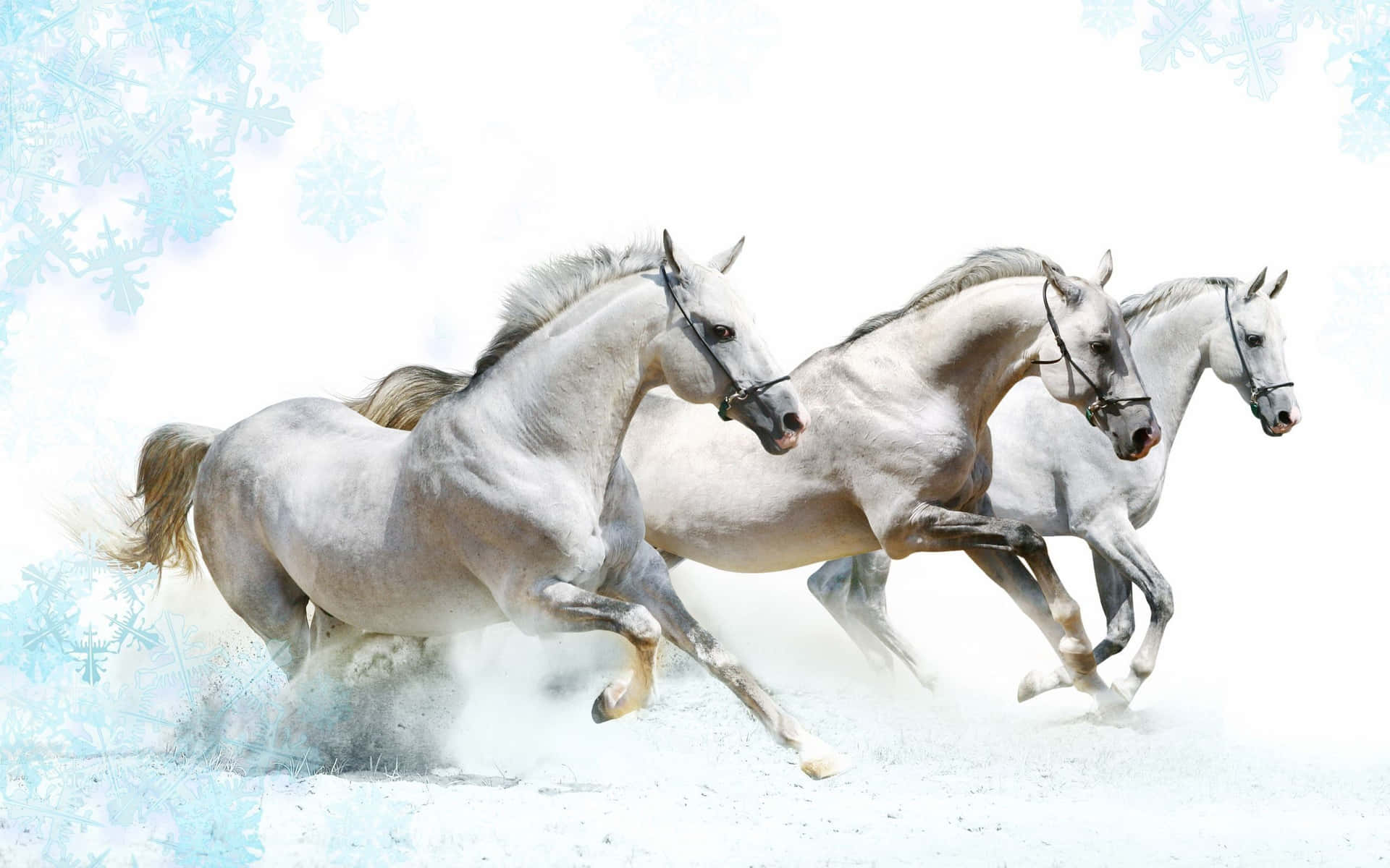 Galloping White Horses Winter Fantasy