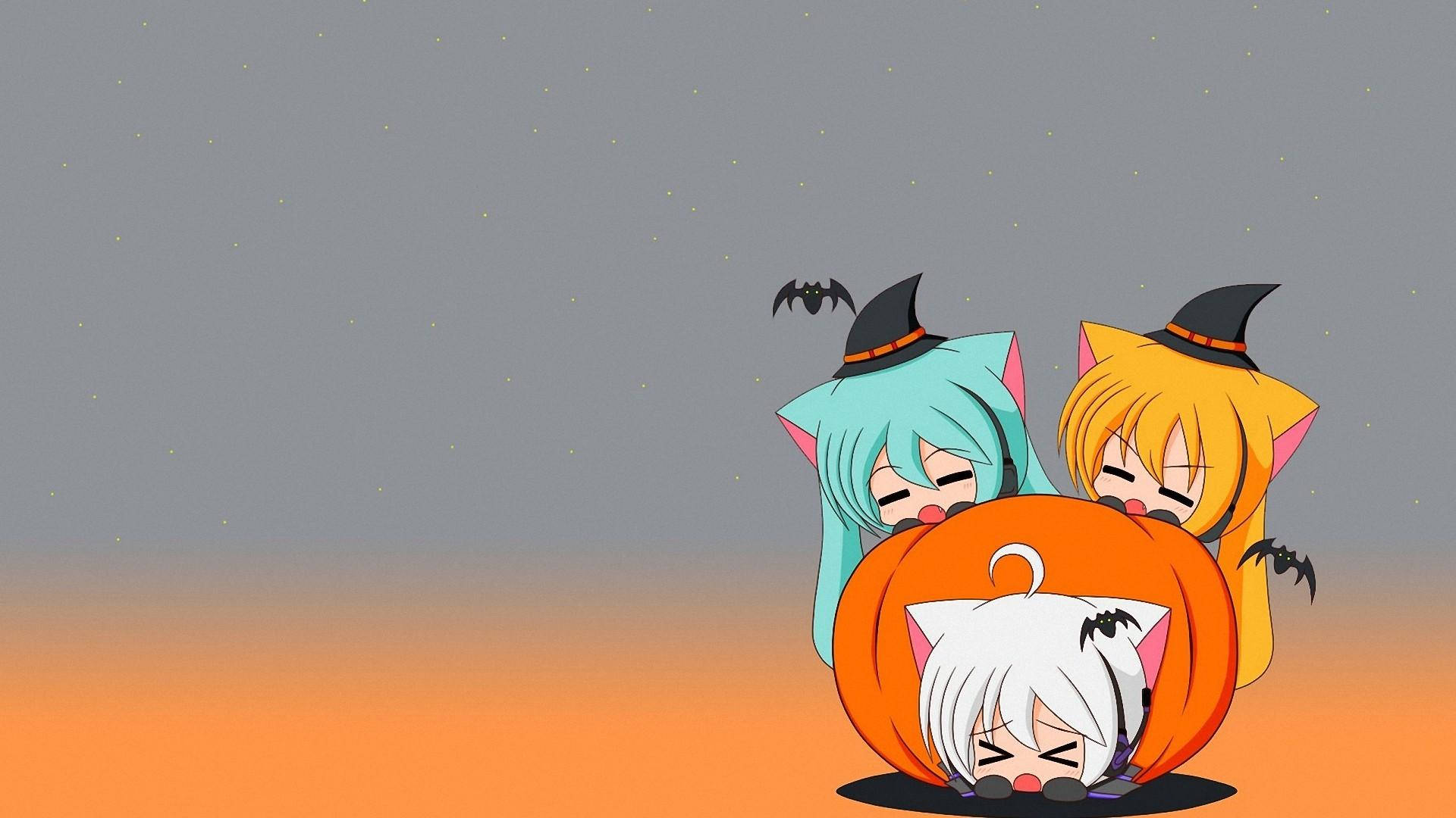 Gambar Anime Cat Girls With Pumpkin Background