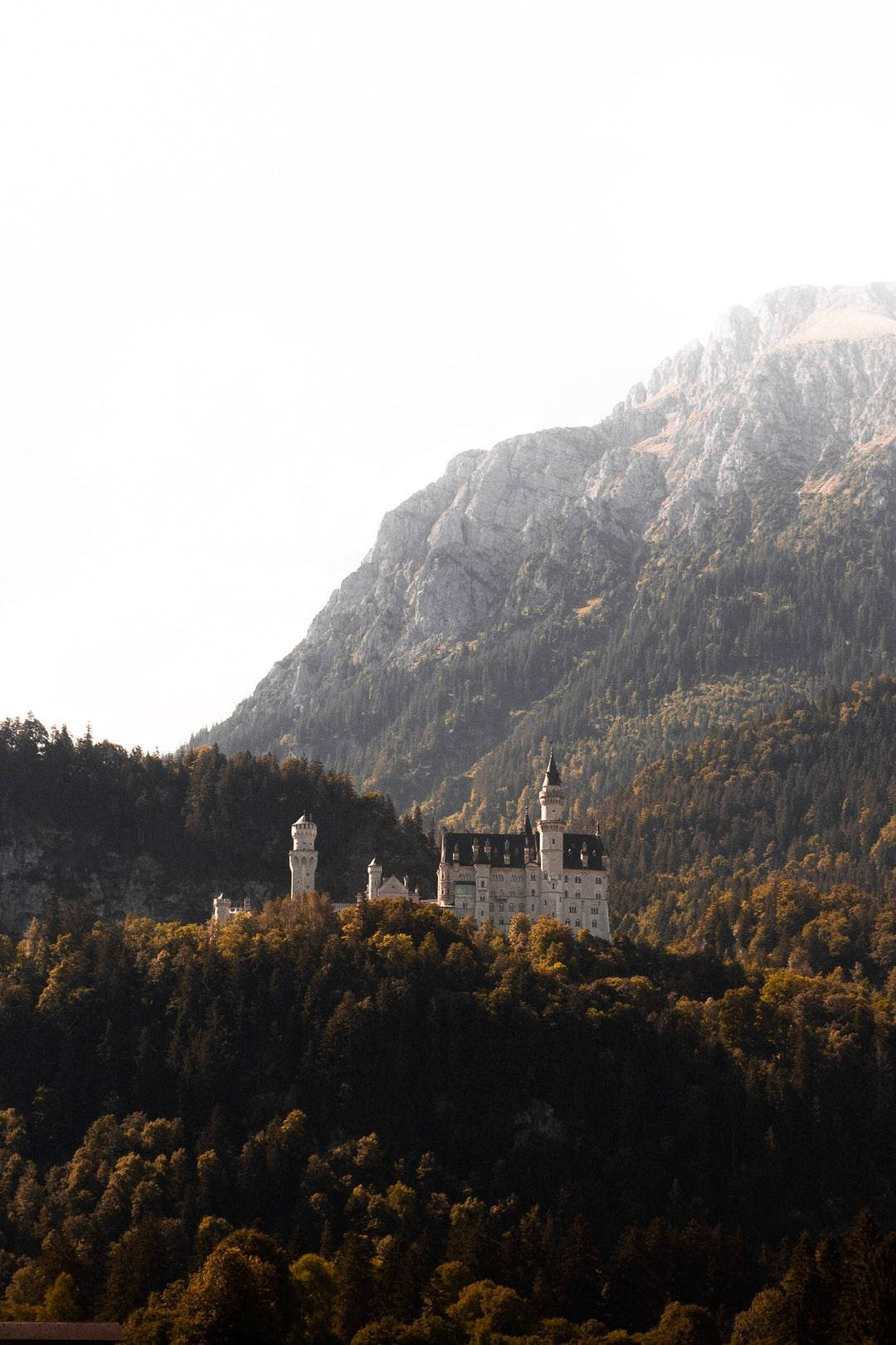 Gambar Castle In Forest Background