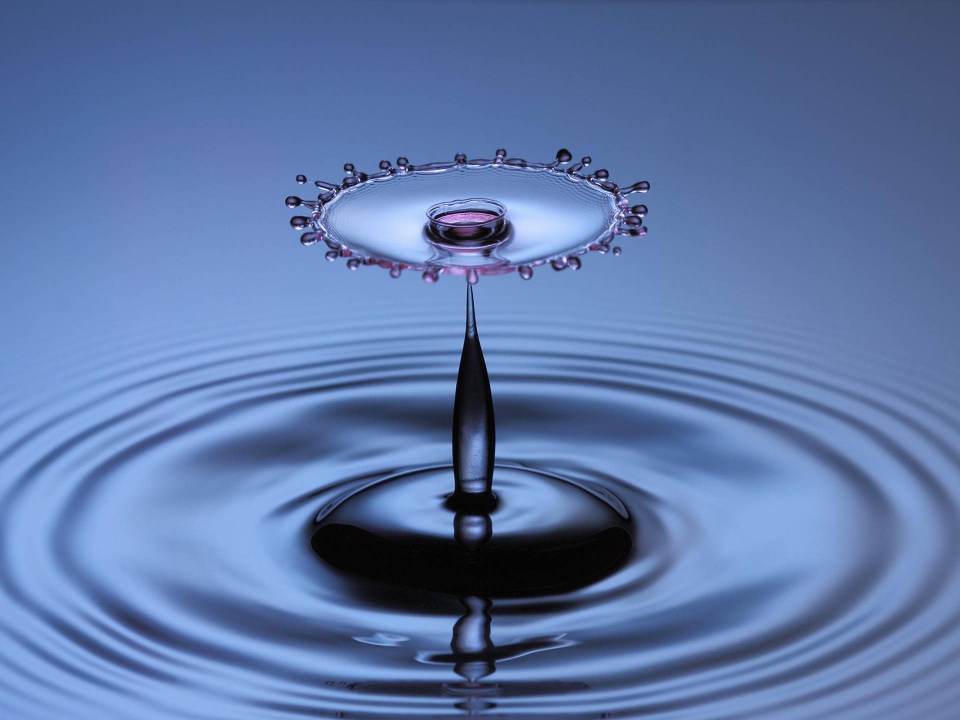 Gambar Droplet On Water Background