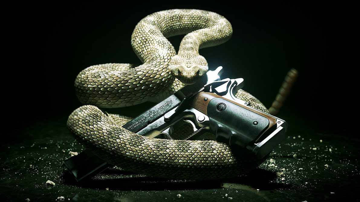 Gambar Snake With Gun Background