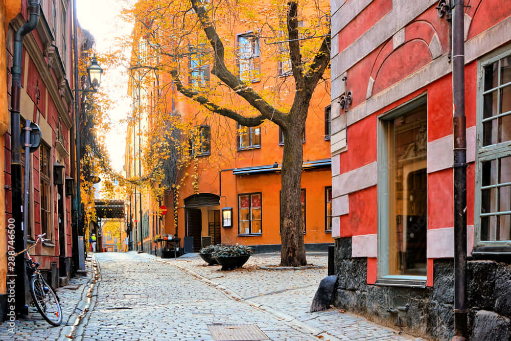 Gamla Stan Old Town Background