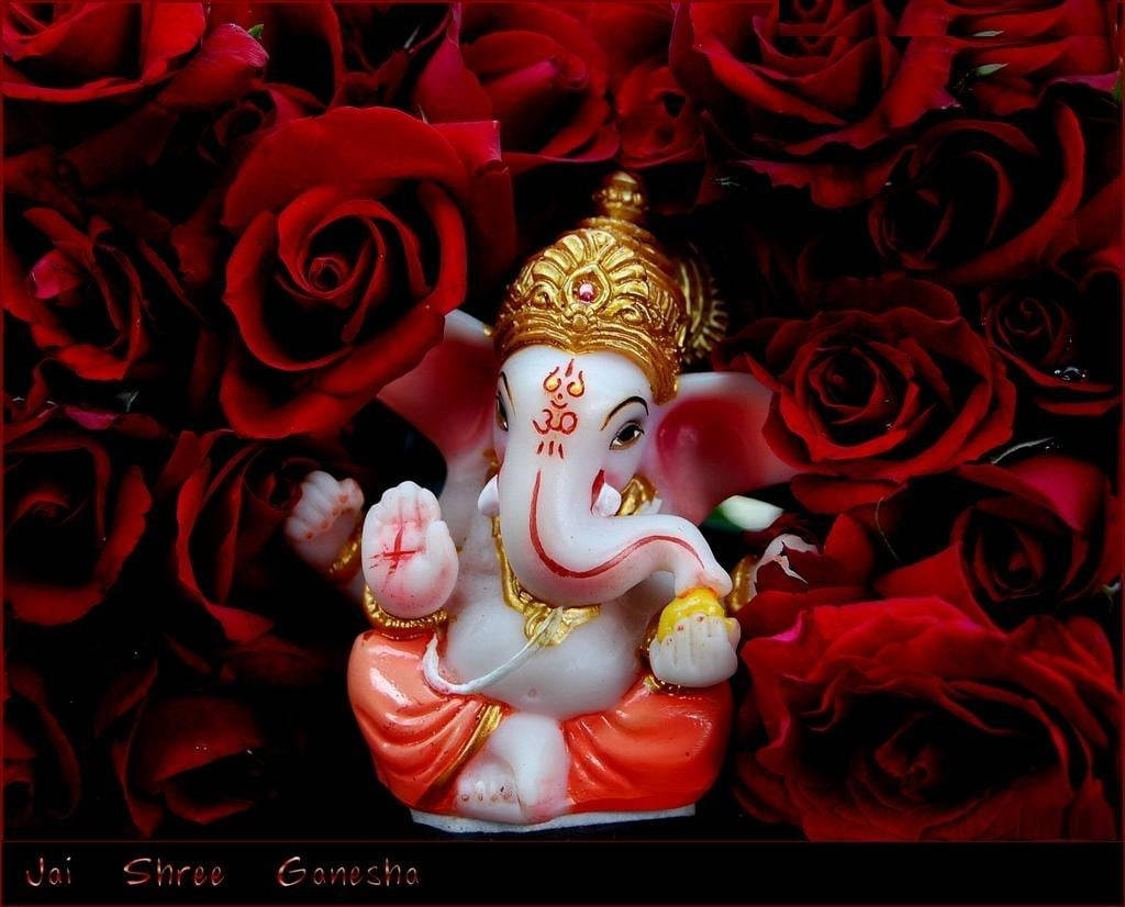 Ganesh Ji Hd Red Roses Background