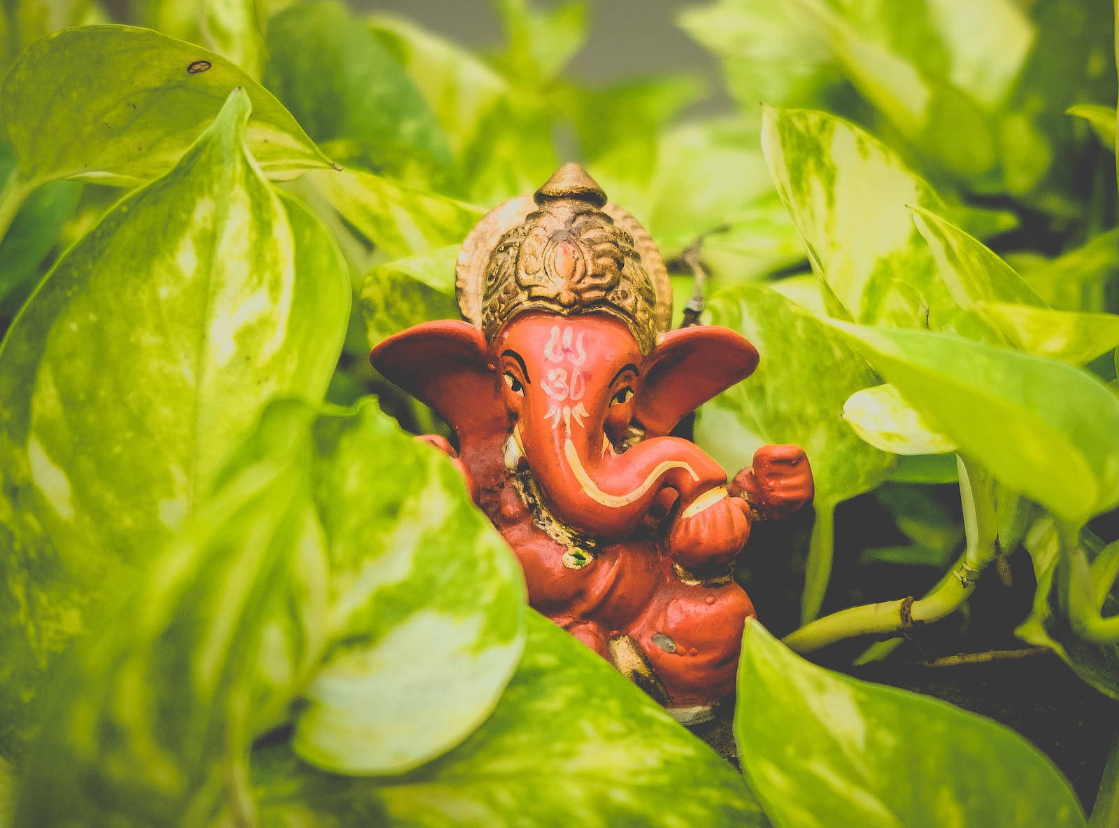 Ganesha Mini Red Figure Background