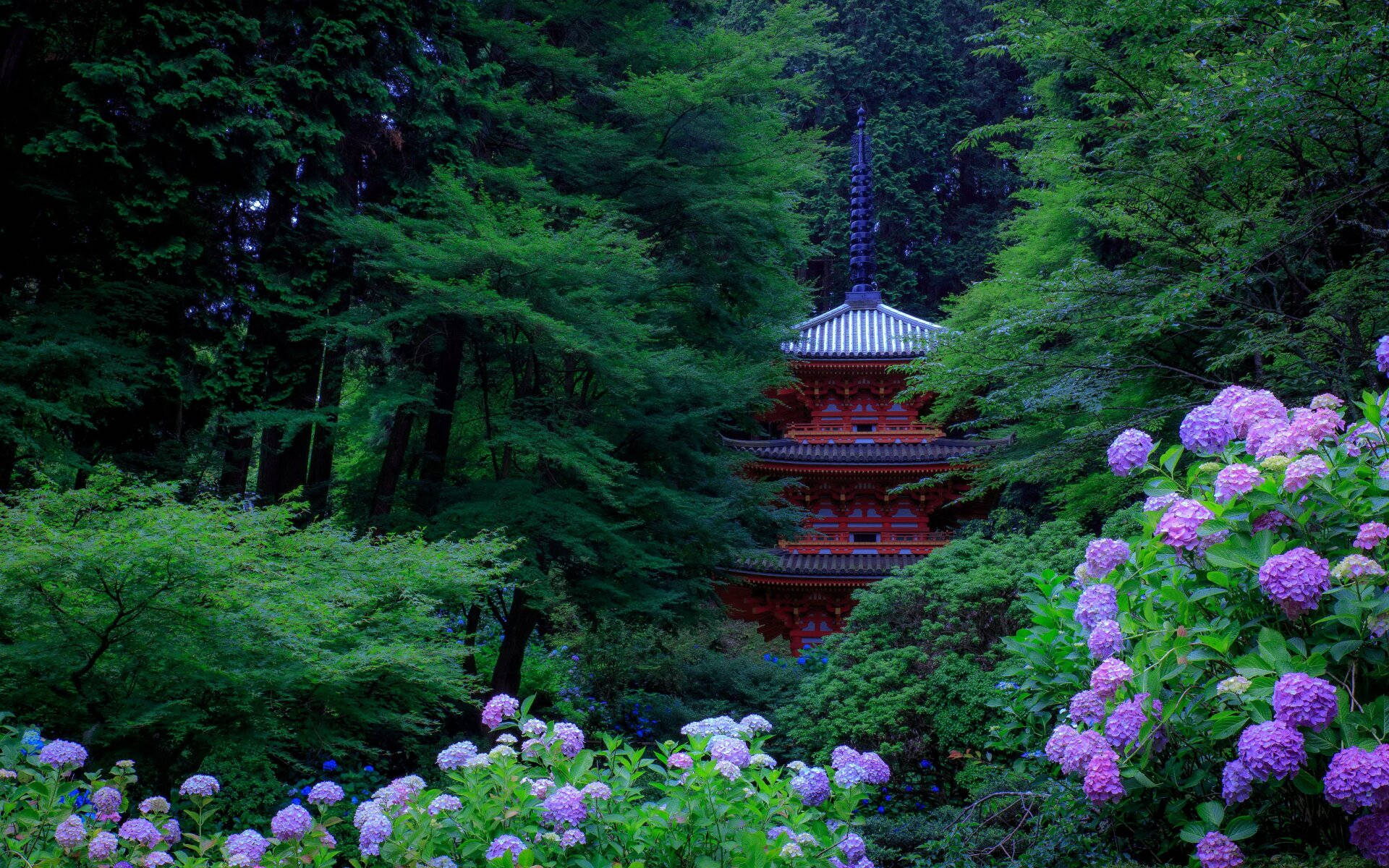 Gansen-ji Temple In Kyoto Background