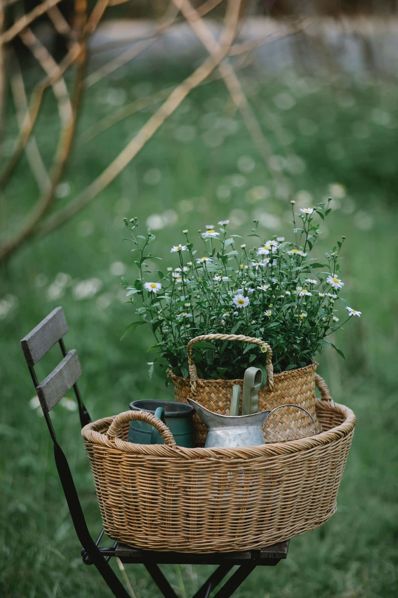 Garden Basketwith Flowersand Tools Background