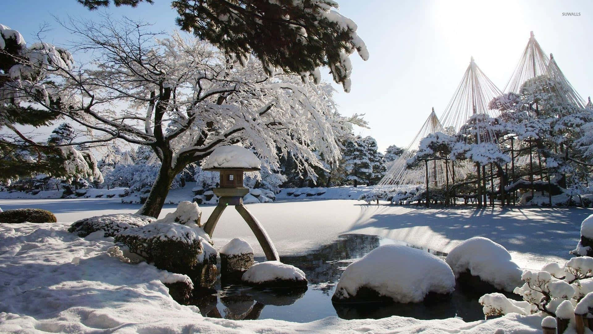 Garden Covered By Thick Snow Background