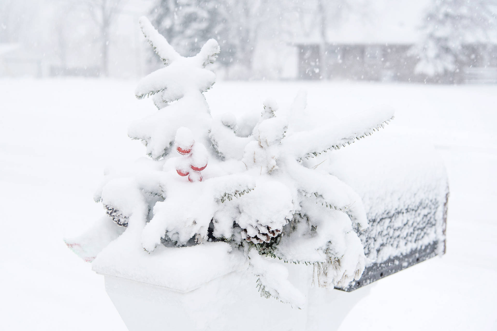 Garden Decor Covered In Pure White Snow Background
