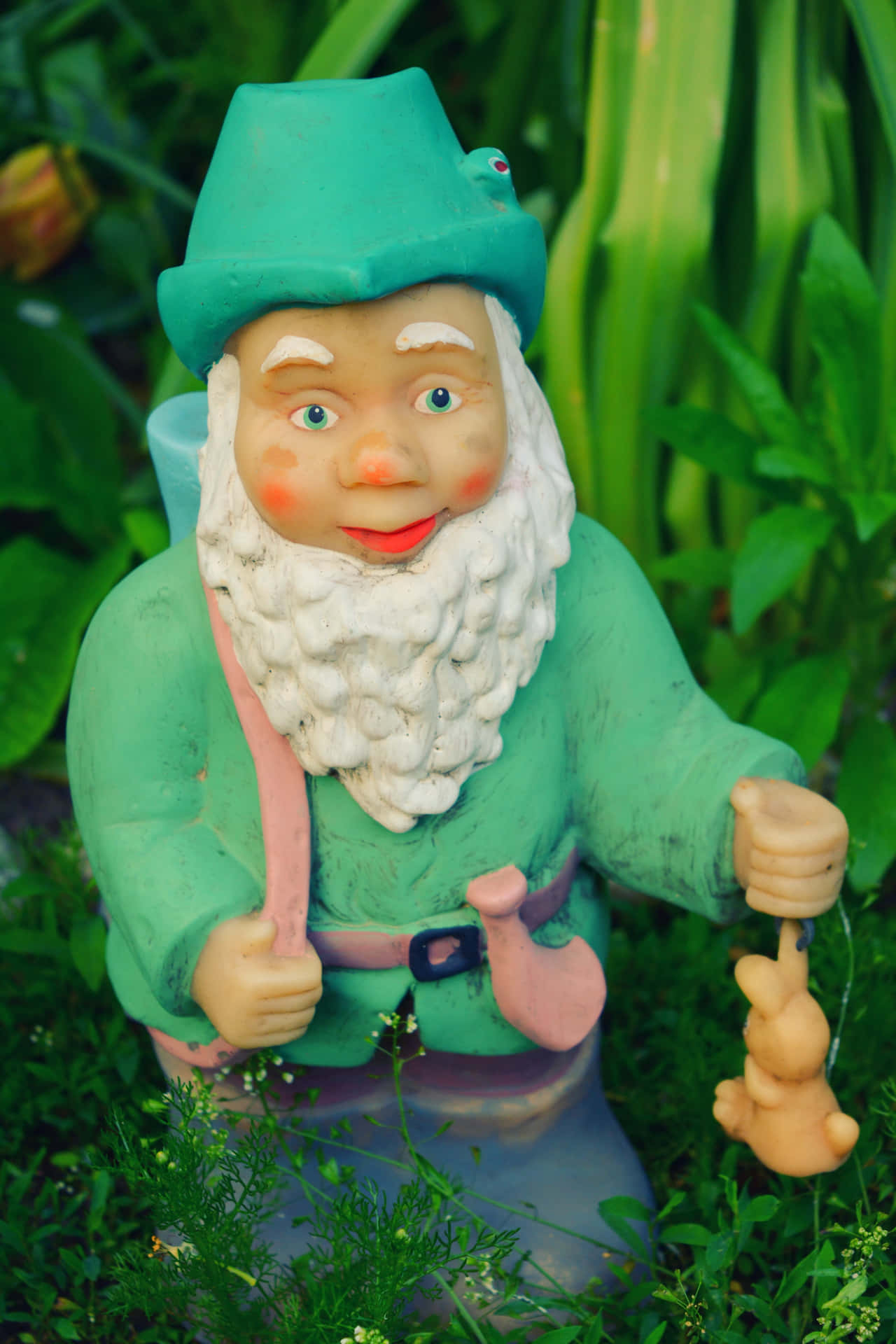 Garden Gnome With Lantern.jpg Background