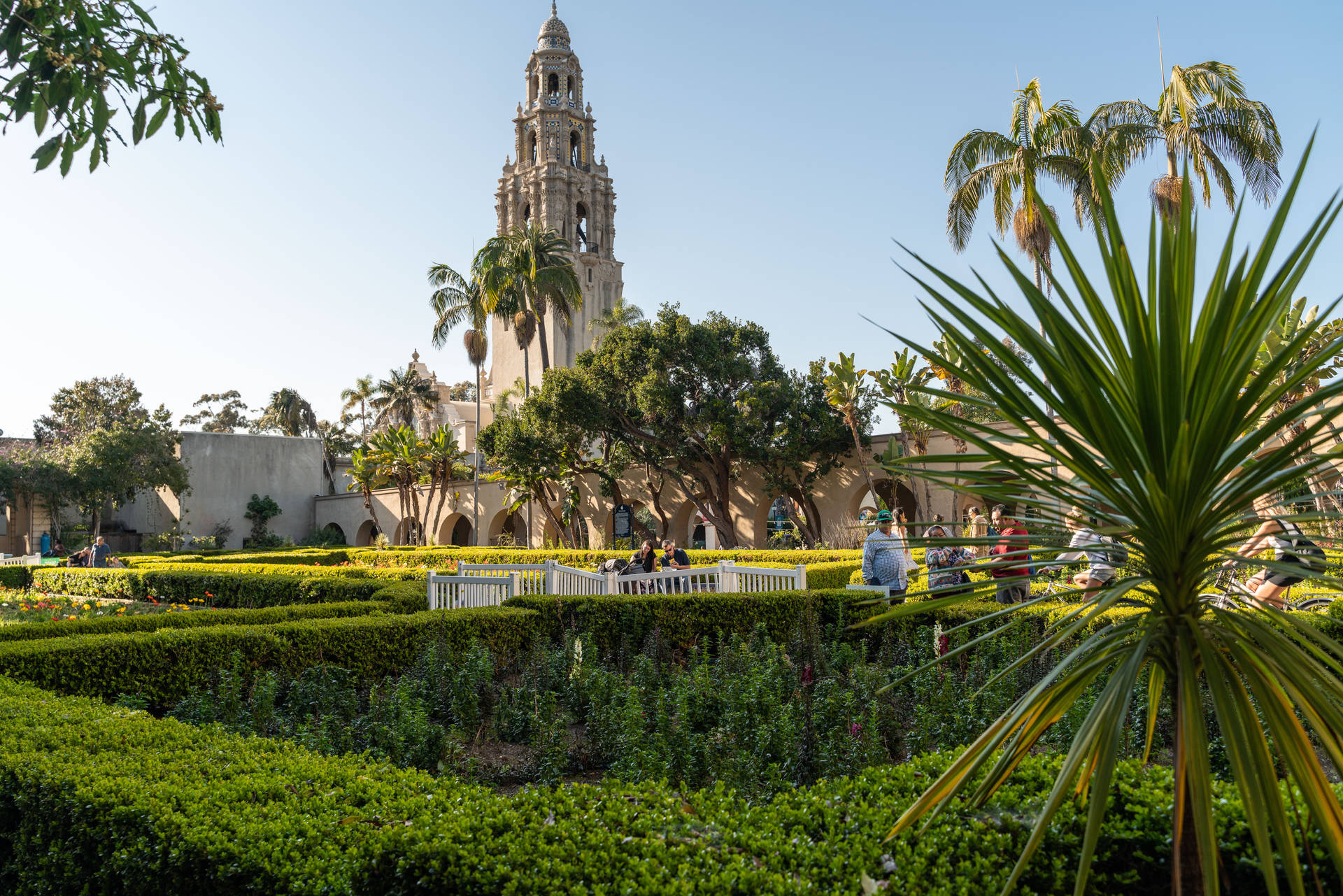 Garden Grounds At Balboa Park Background