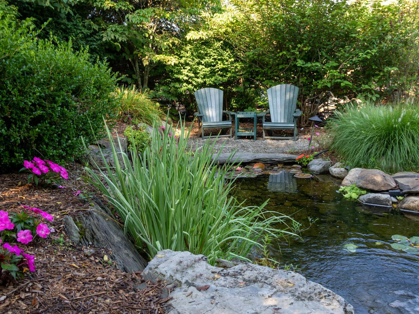 Garden Pond Vibes Background