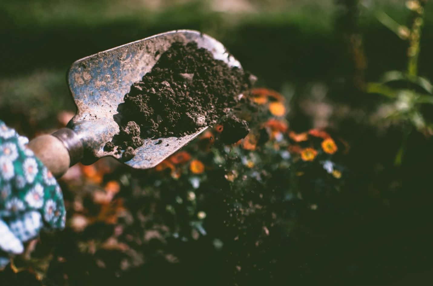 Garden Shovel With Natural Soil Background