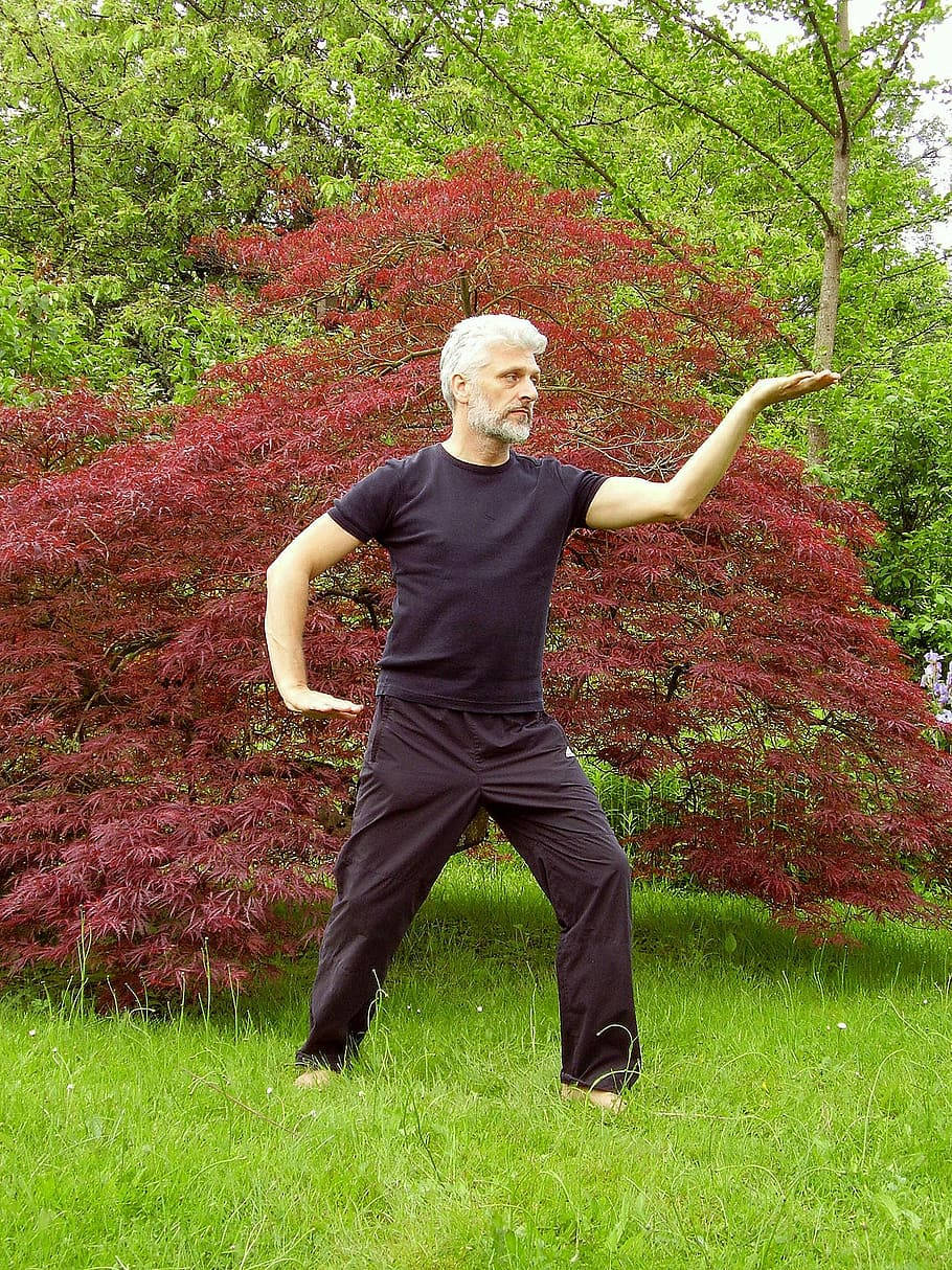 Garden Tai Chi Background