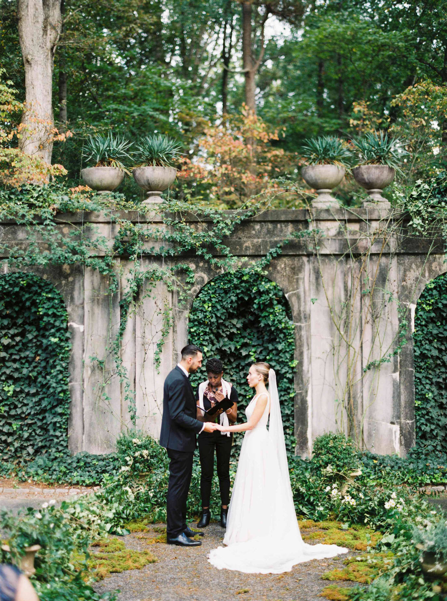 Garden-themed Wedding Background
