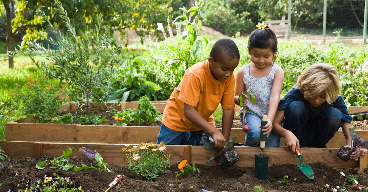 Gardening Kids Planting Flowers Background