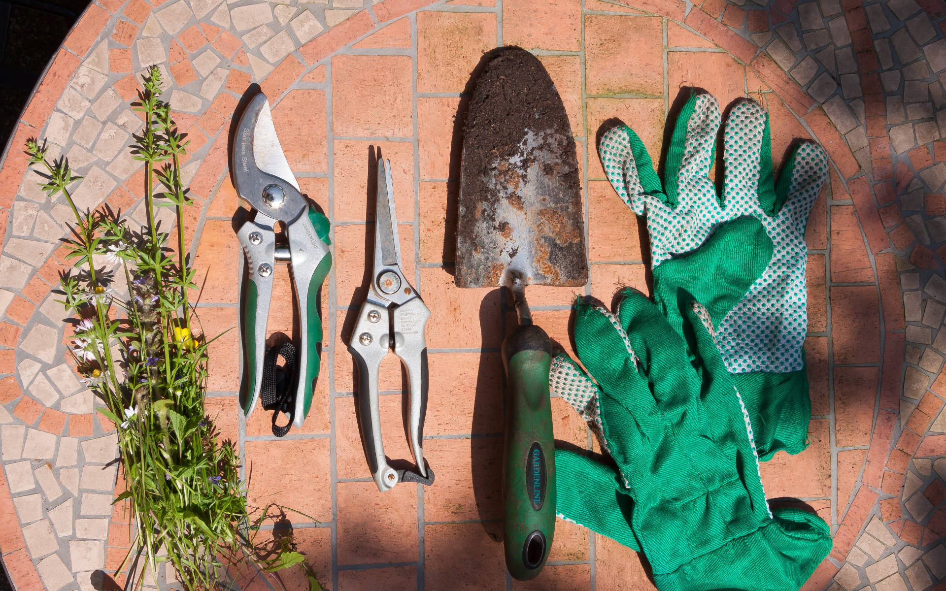 Gardening Tools In Floor Background