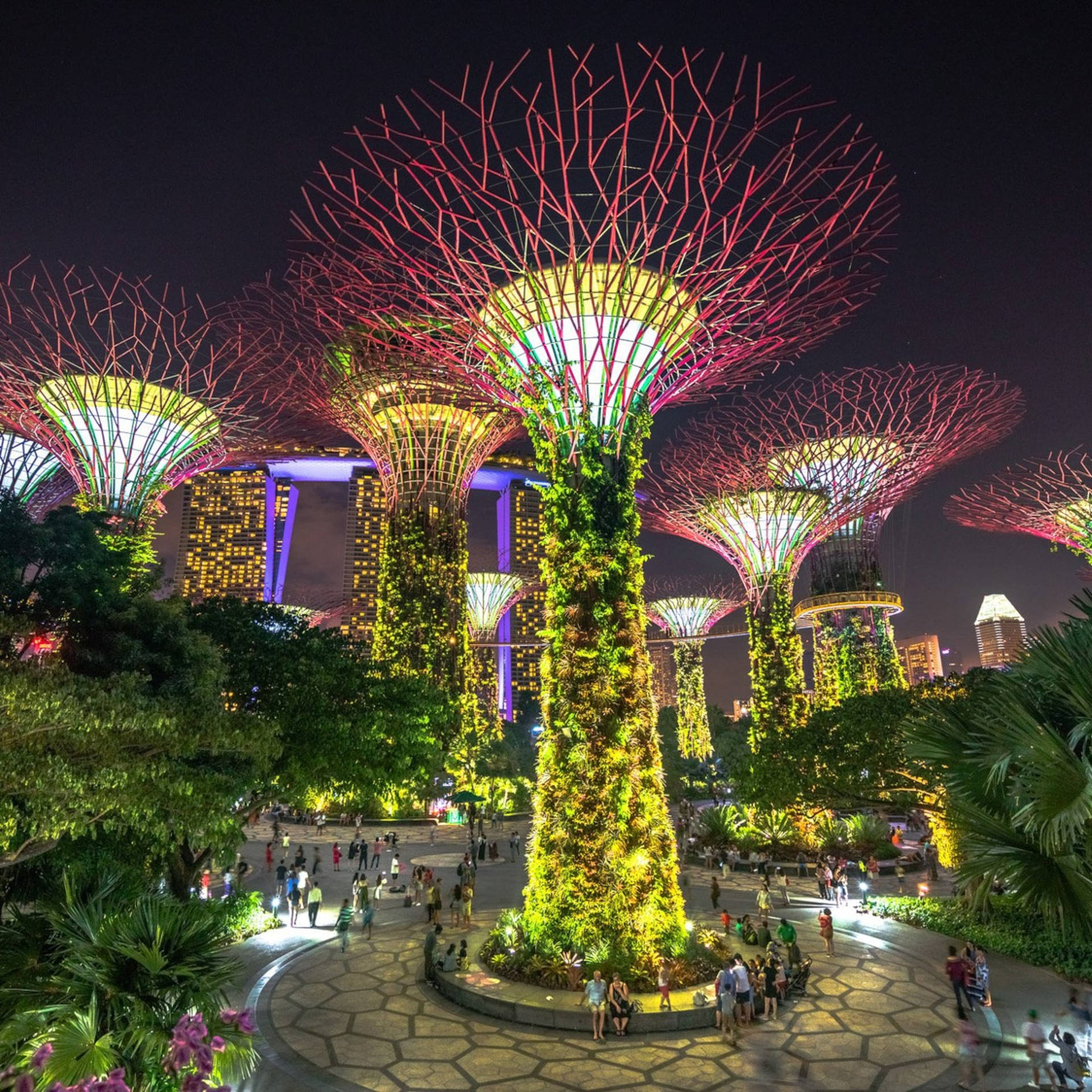 Gardens By The Bay Singapore City At Night Background