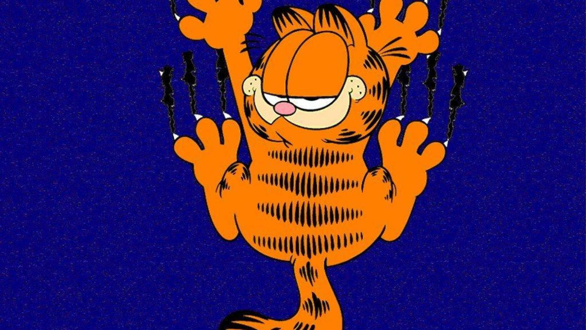 Garfield Claw Scratch Background
