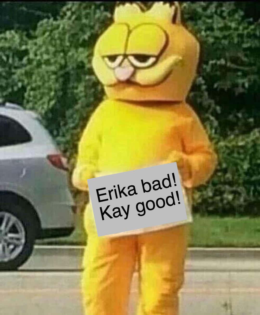 Garfield Funny Discord Pfp Background
