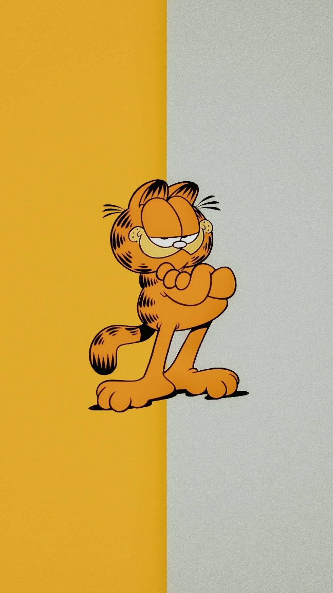 Garfield In Two-tone Background Background