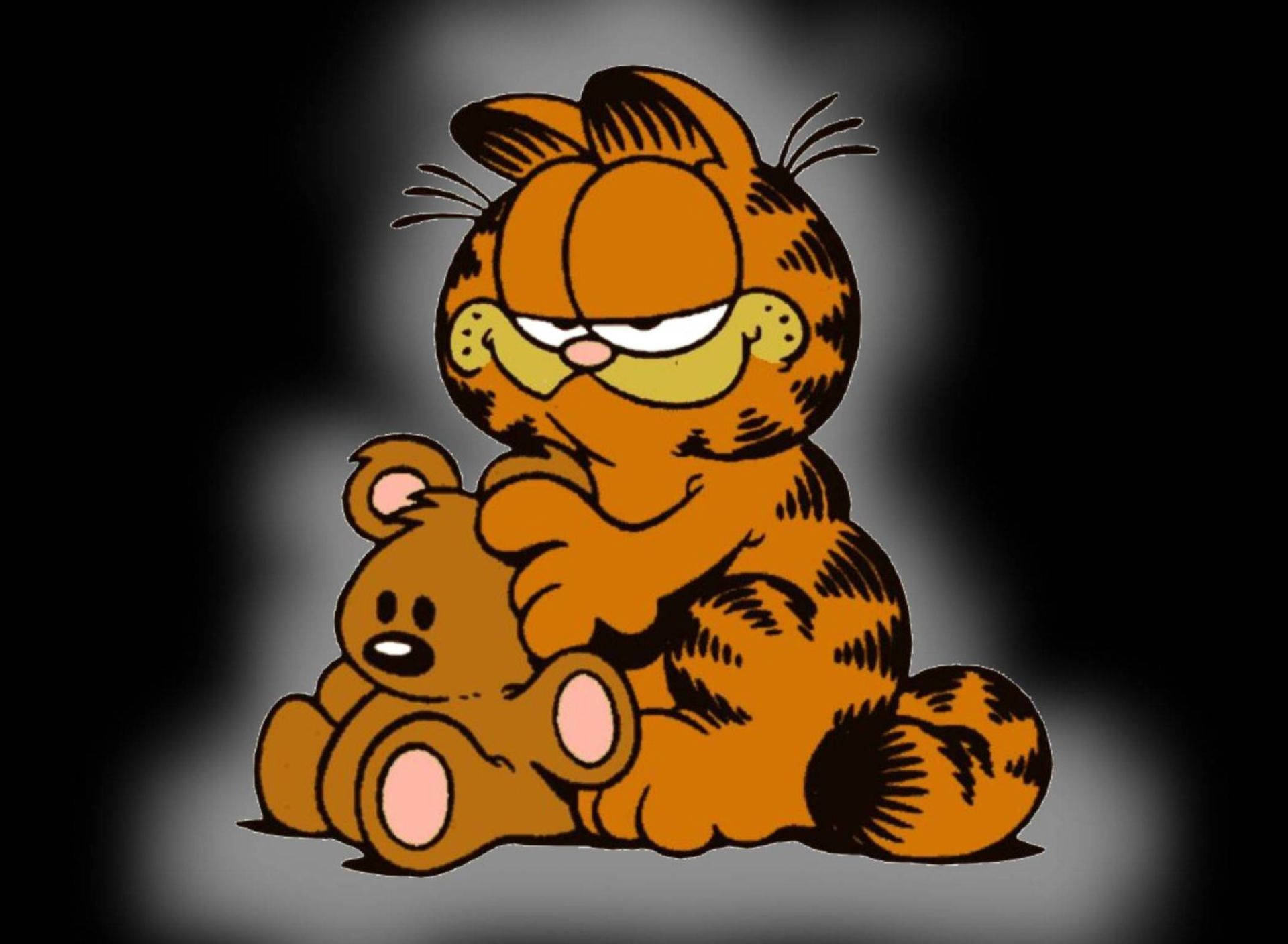 Garfield With Pooky Bear Background