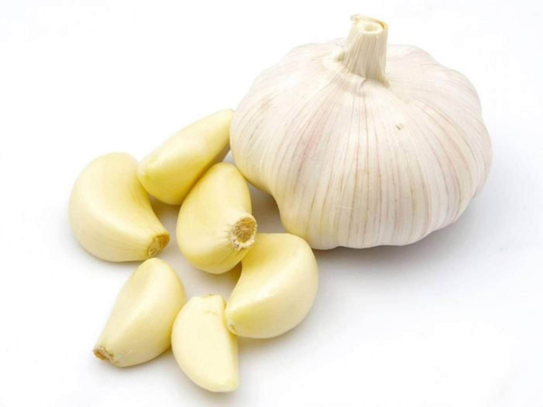 Garlic Vegetable Herb And Cloves Background