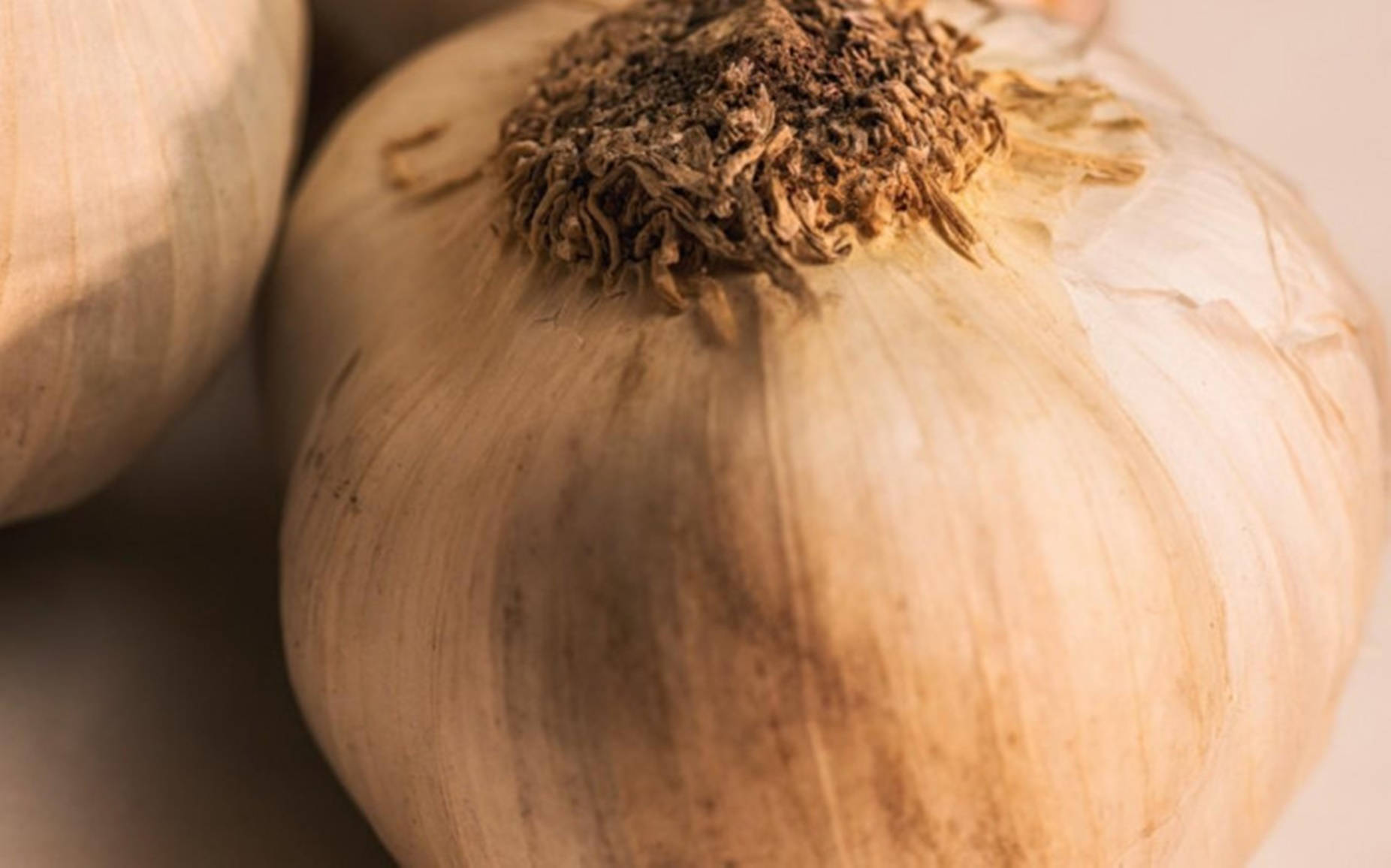 Garlic Vegetable Herb Close Up Background