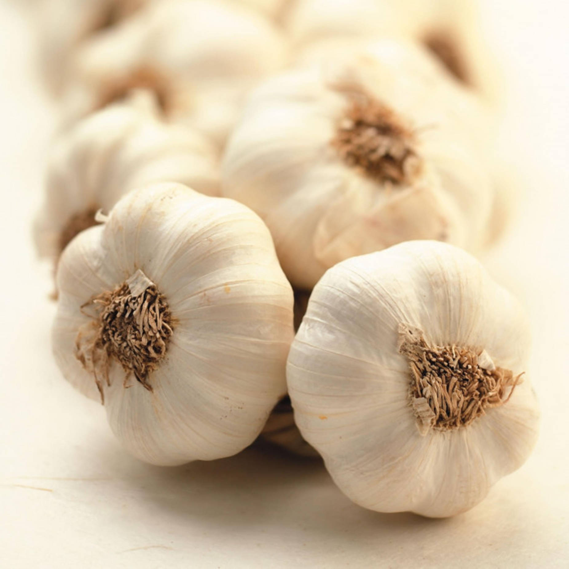 Garlic Vegetable Herb Macro Shot Background