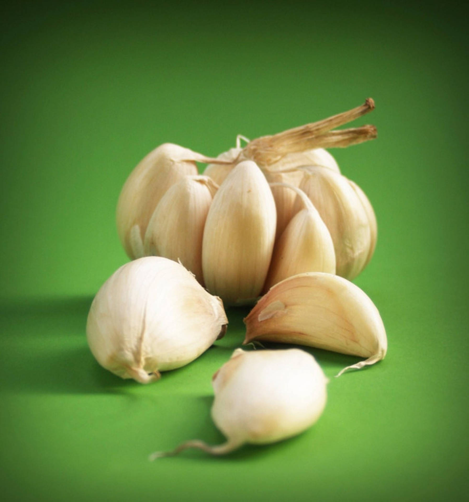 Garlic Vegetable Herb On Green Backdrop Background