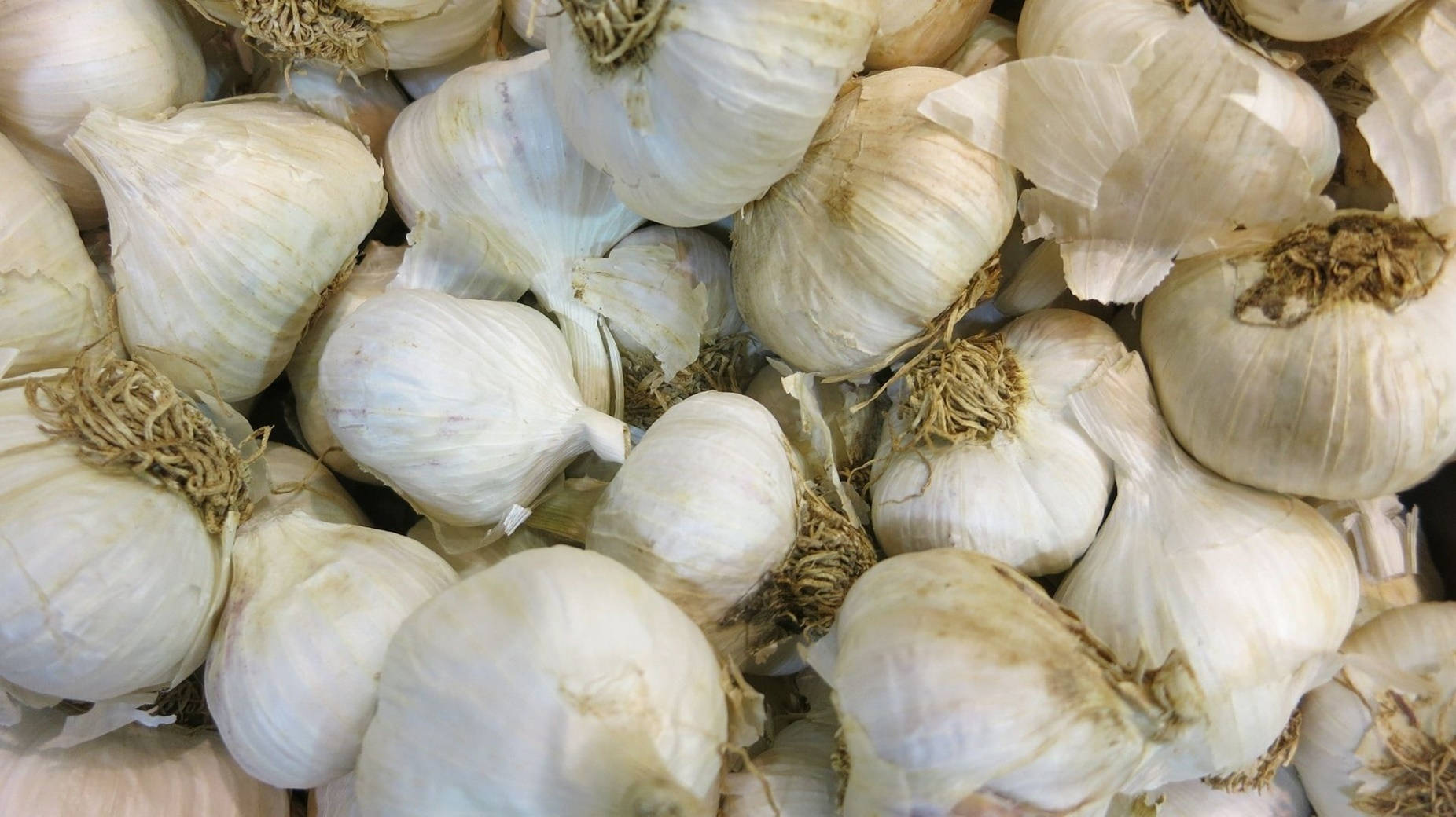 Garlic Vegetable Herb Pile Top View Background