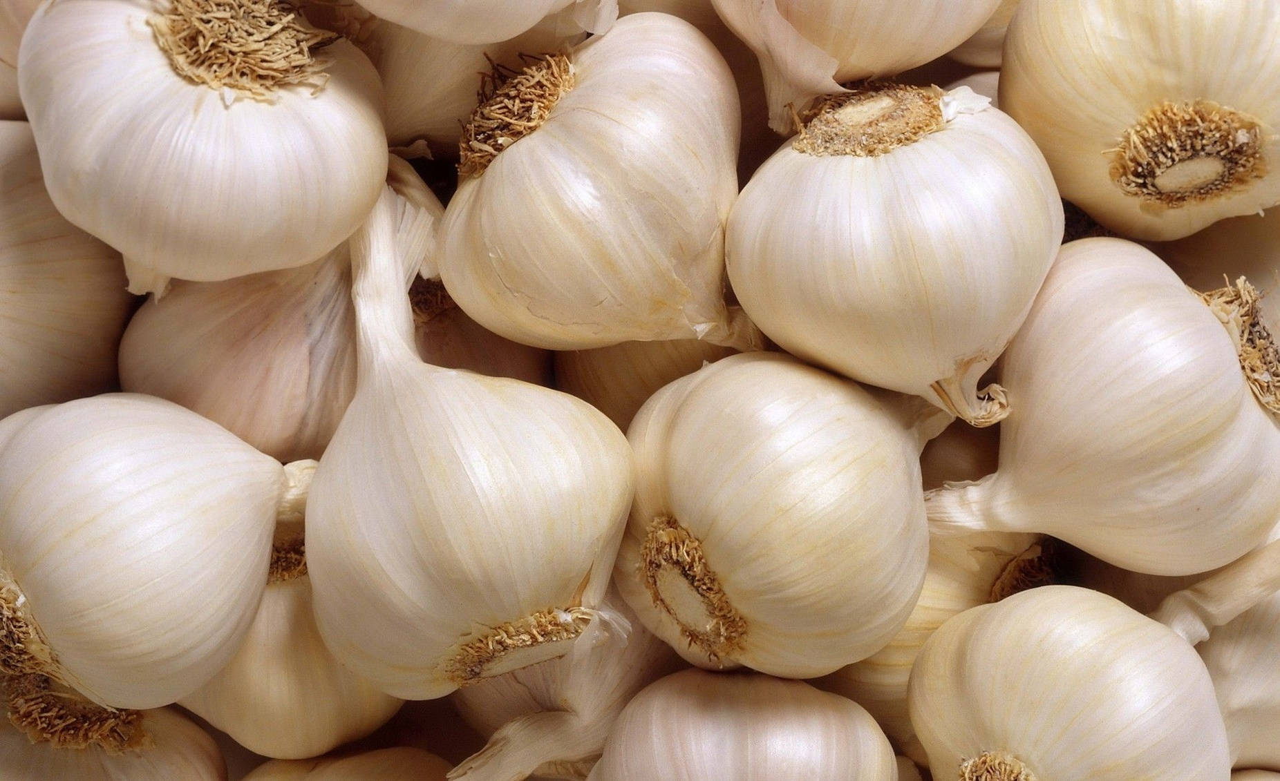 Garlic Vegetable Herb Stack Background