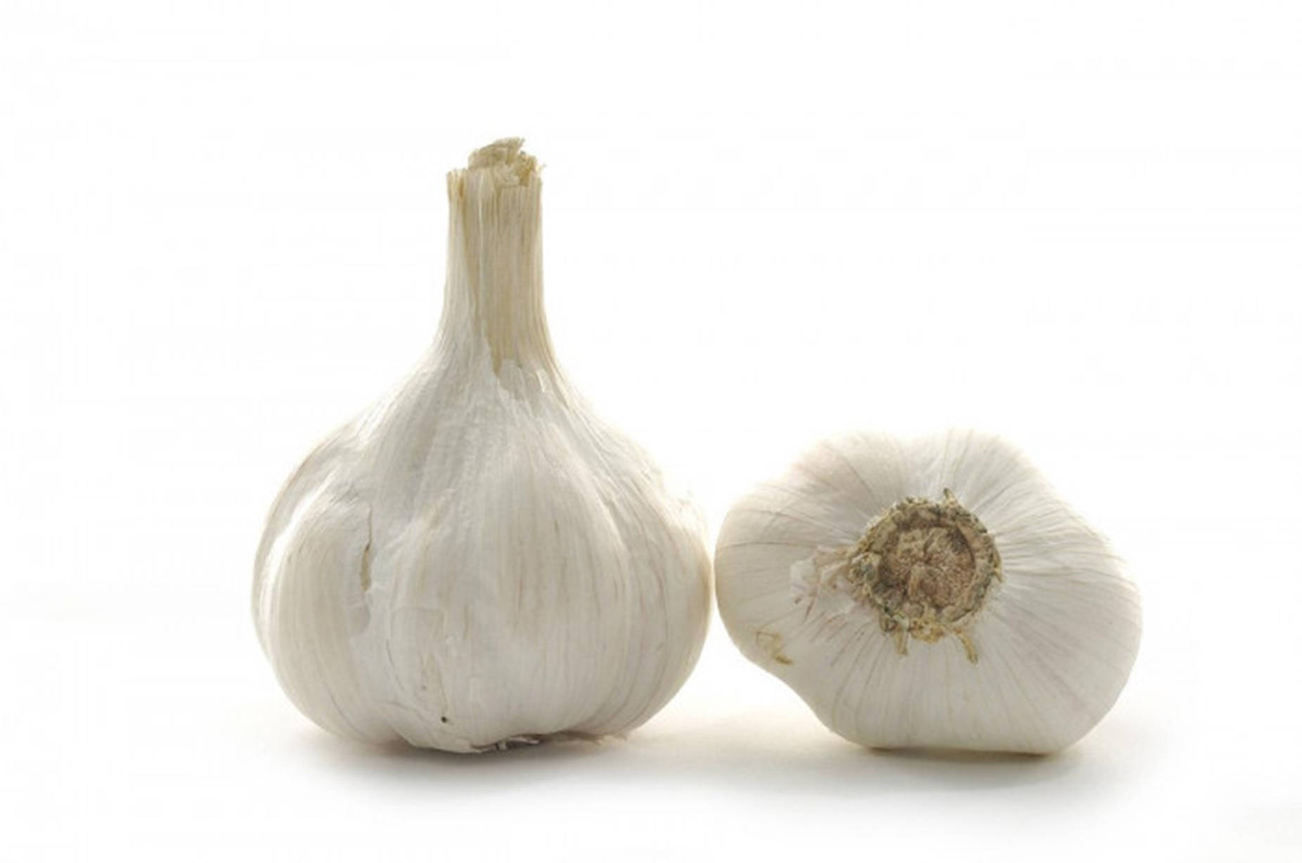 Garlic Vegetable Herb Standing And Bottom Part Background