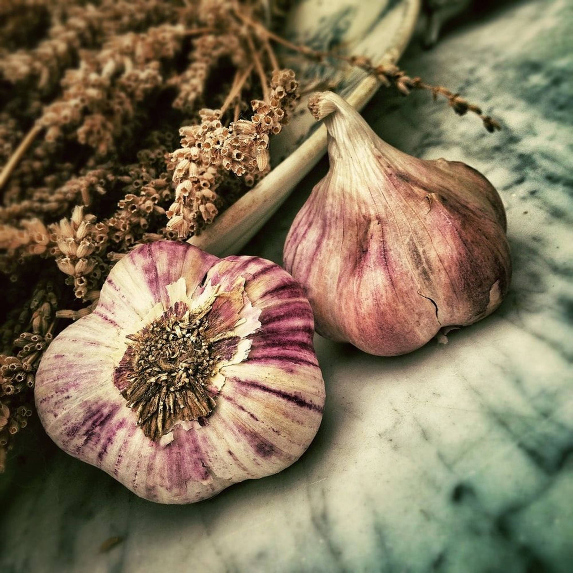 Garlic Vegetable Herb With Dried Sorghum Background