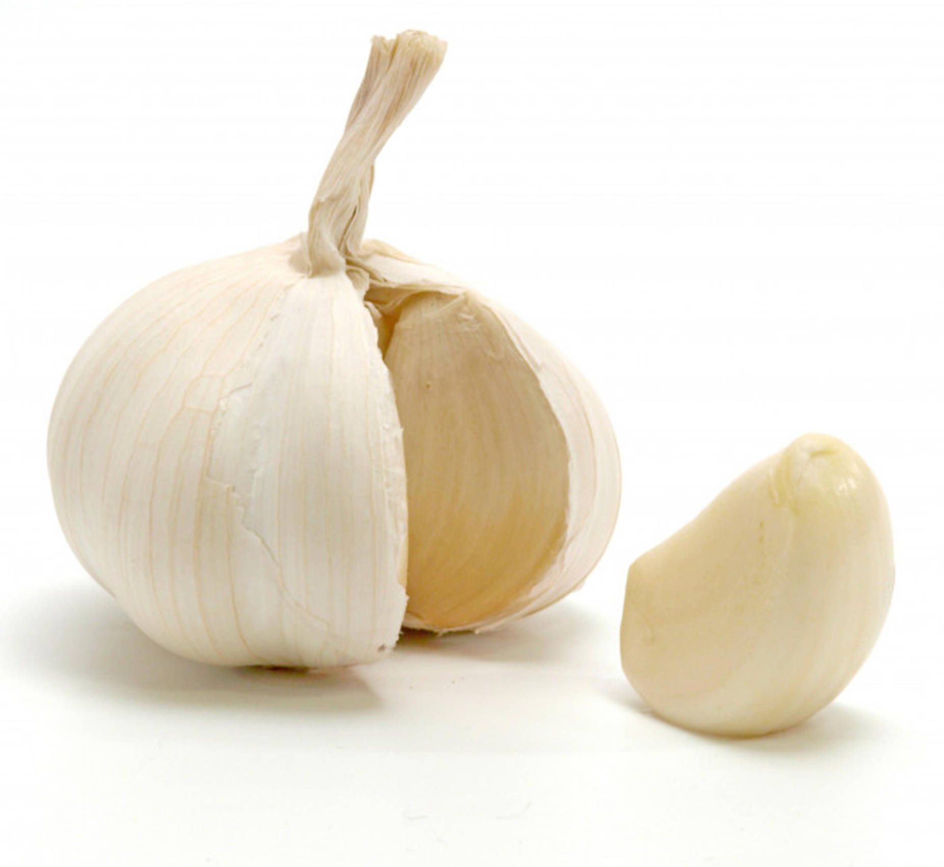 Garlic Vegetable Herb With One Clove Background