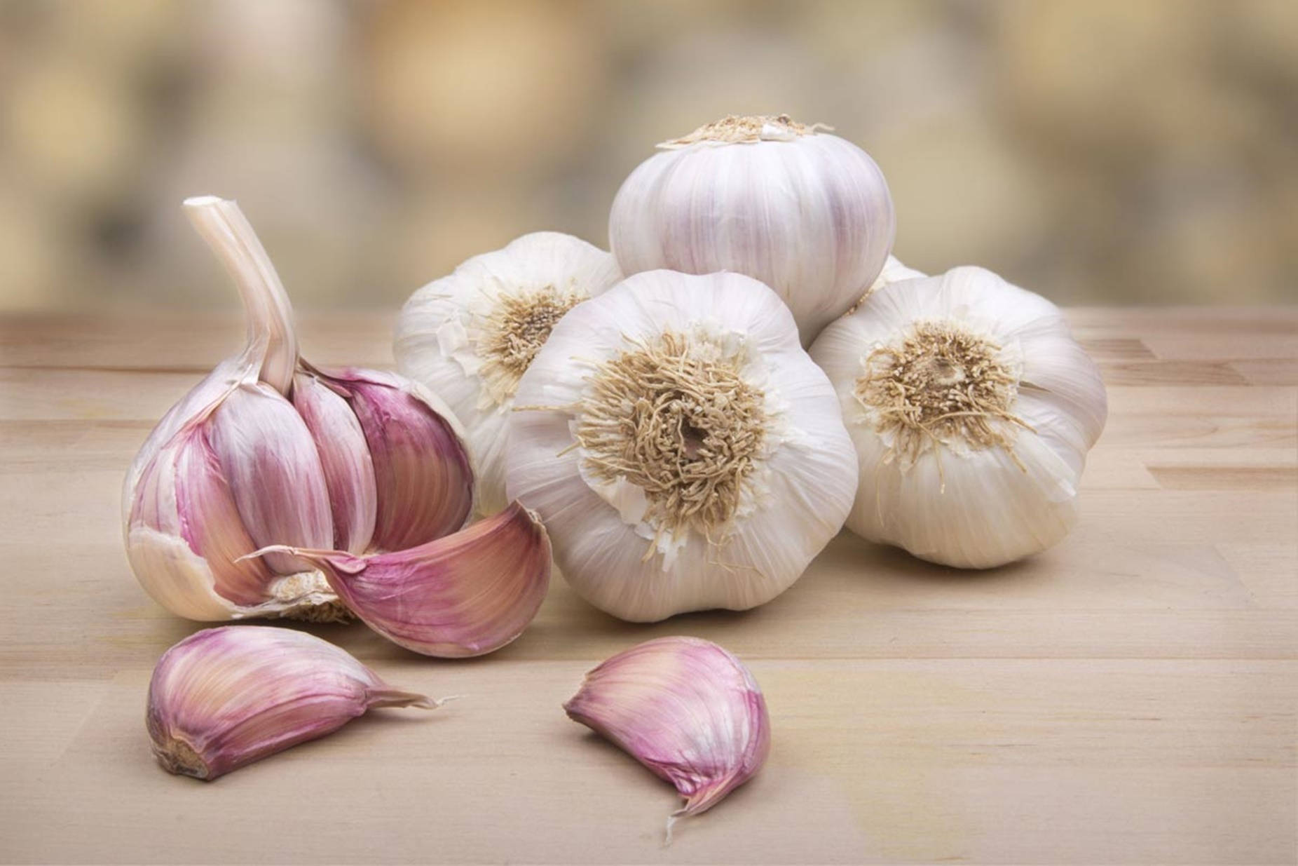 Garlic Vegetable Herb With Purple Cloves