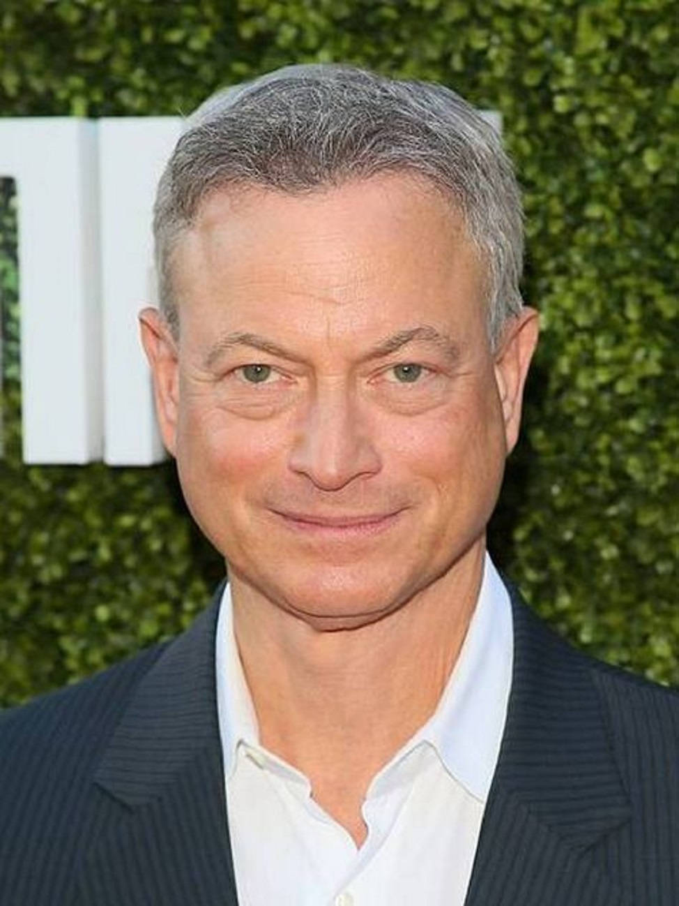 Gary Sinise Awards Night Background