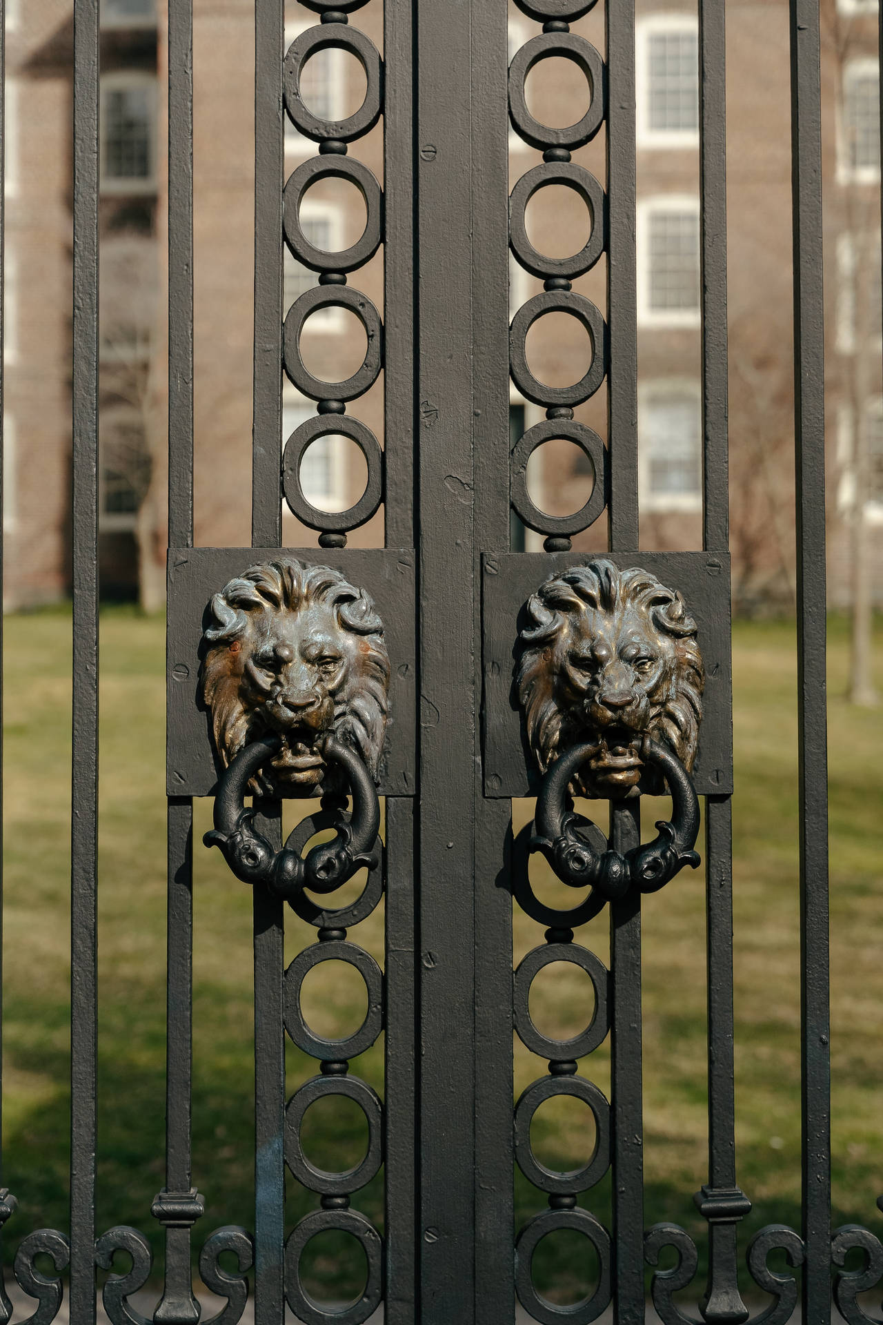 Gate Handles Of Brown University Background