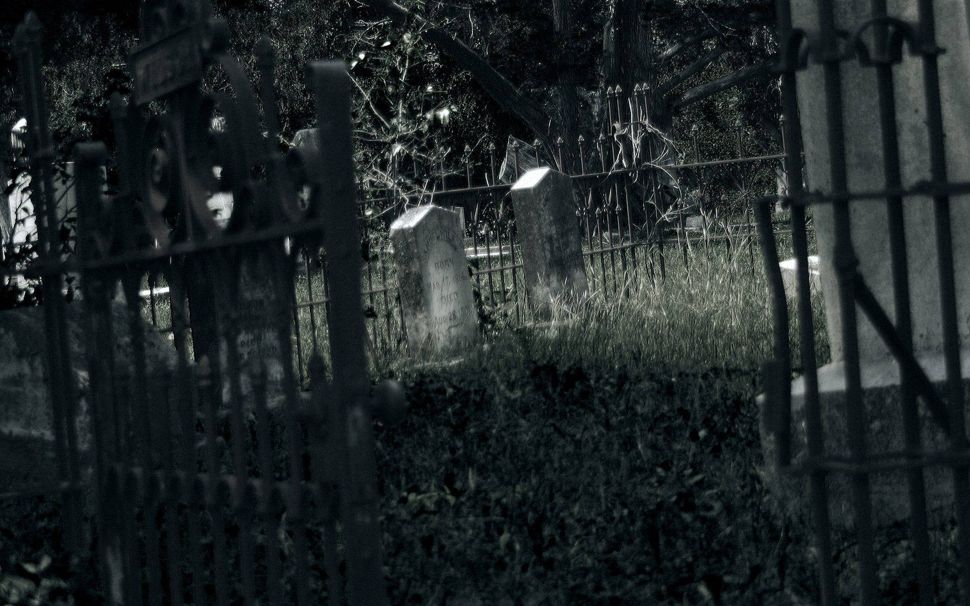 Gated Graveyard Background