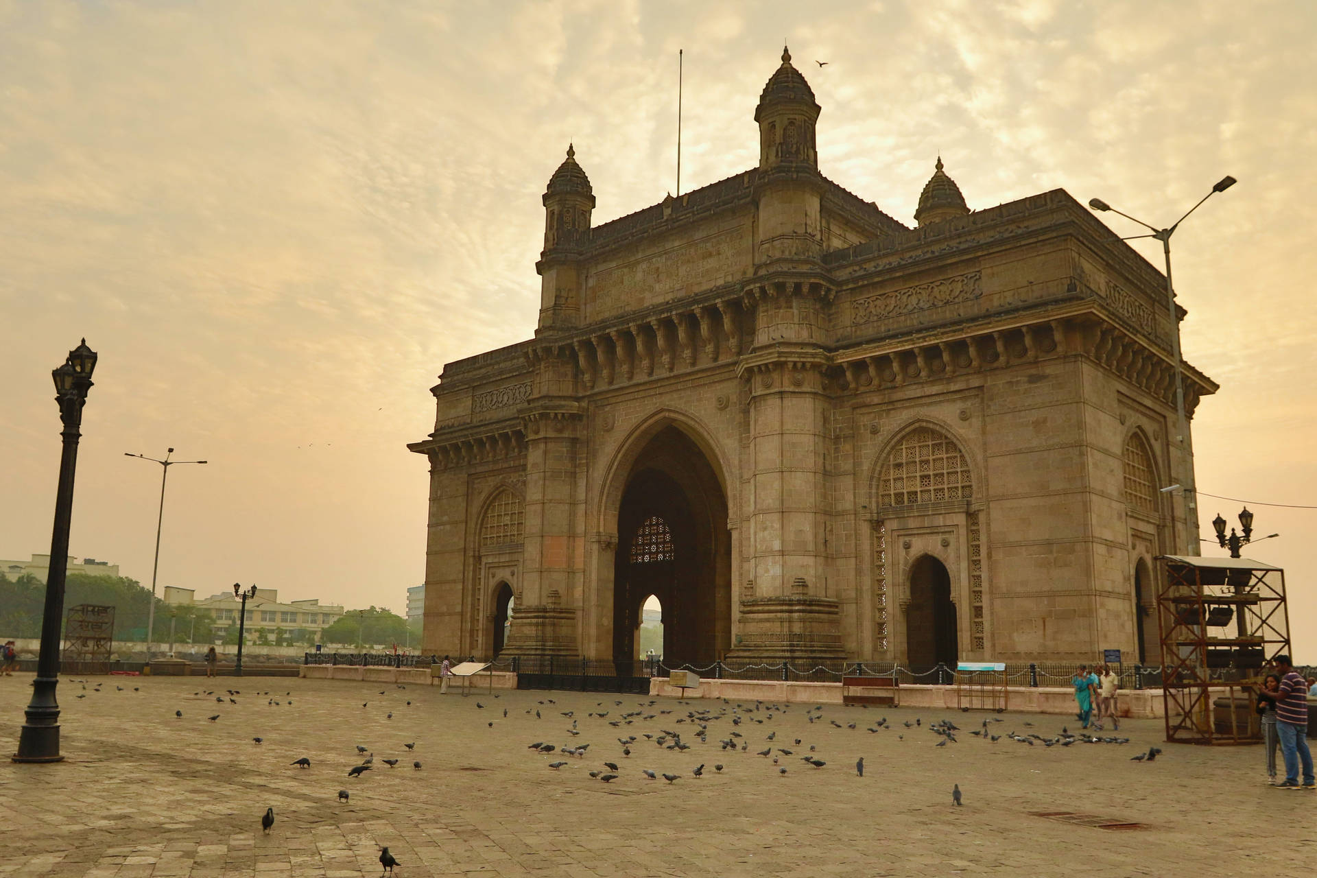 Gateway Of Mumbai Pigeons Background