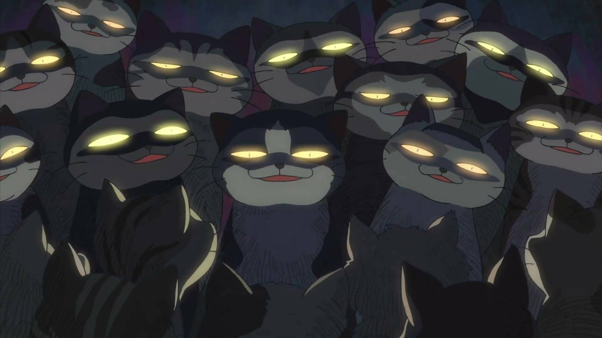 Gathering Of Cats Makoto Shinkai Background