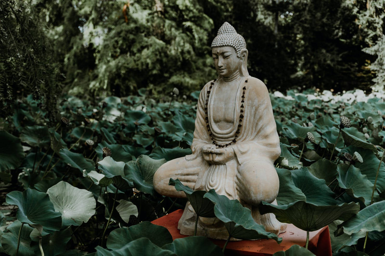Gautam Buddha Garden Statue Background