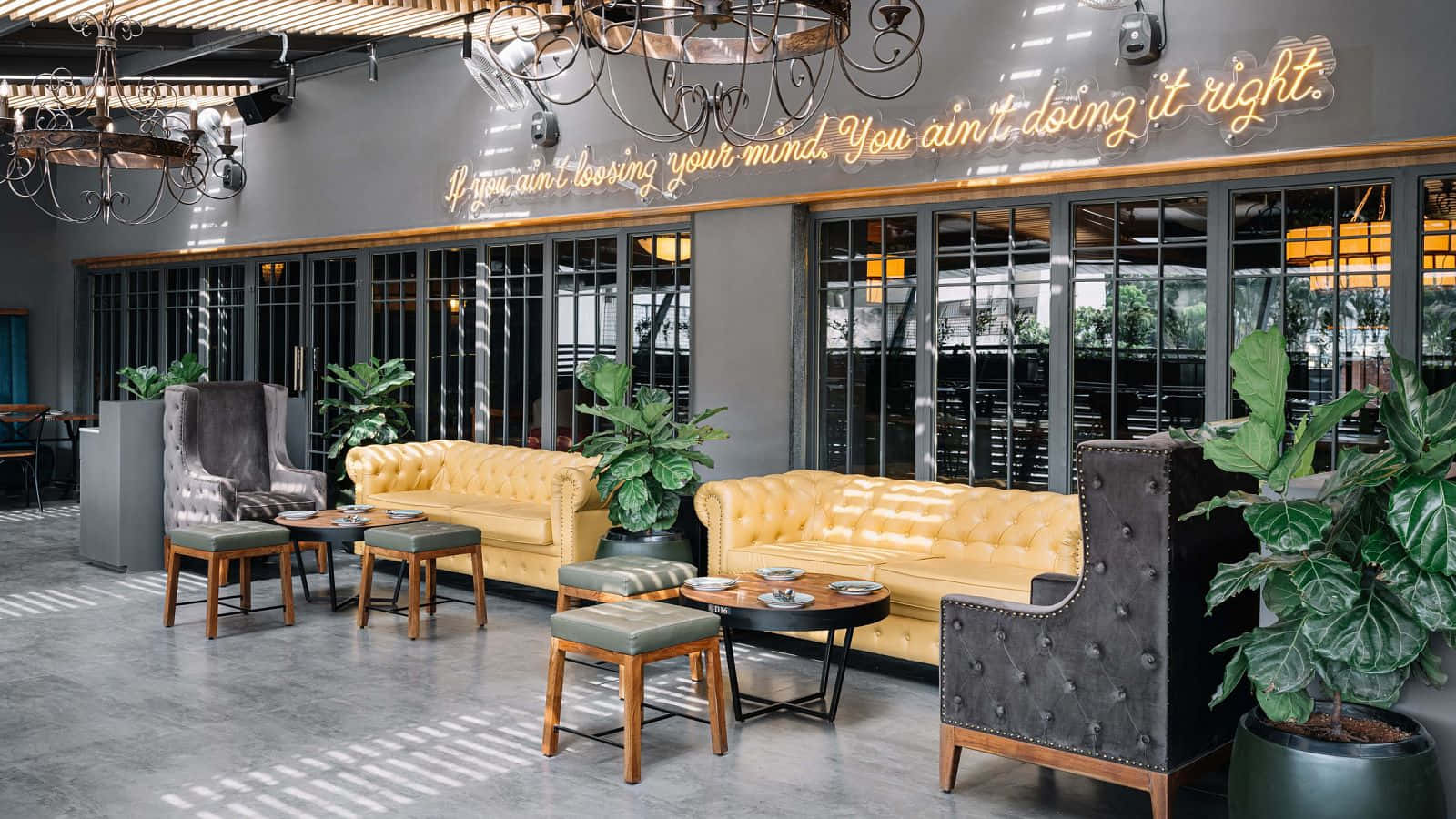 Gawky Goose Couches And Chairs Background