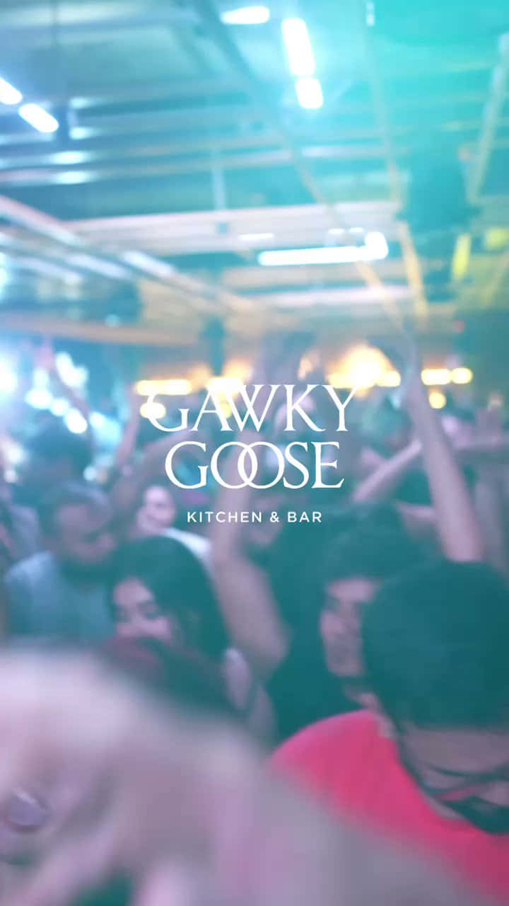Gawky Goose Party Background